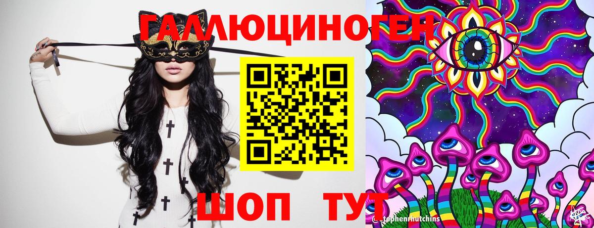 Галлюциногенные грибы Cubensis  Вход с VPN  Калининград  Псилоцибиновые грибы Psilocybine cubensis 